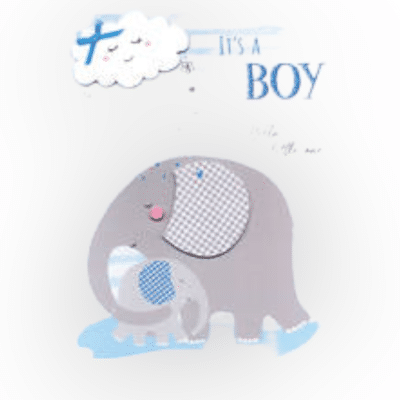 Birth Boy - Elephant & Cloud