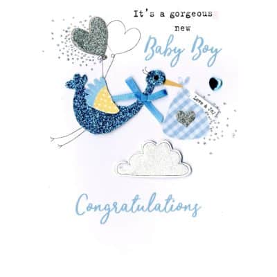 Birth Boy - Blue Stork
