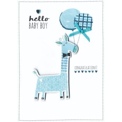 Baby Boy - Giraffe